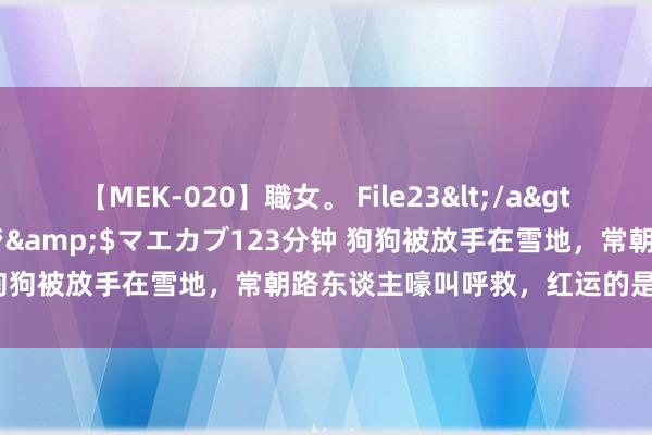 【MEK-020】職女。 File23</a>2011-05-20プレステージ&$マエカブ123分钟 狗狗被放手在雪地,常朝路东谈主嚎叫呼救,红运的是际遇了她