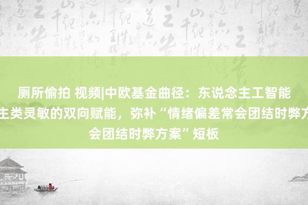 厕所偷拍 视频|中欧基金曲径：东说念主工智能和东说念主类灵敏的双向赋能，弥补“情绪偏差常会团结时弊方案”短板