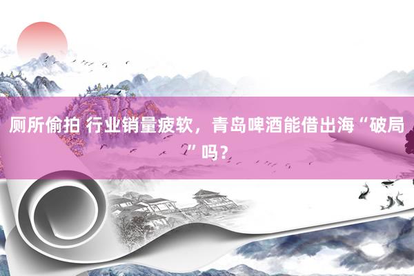 厕所偷拍 行业销量疲软,青岛啤酒能借出海“破局”吗?