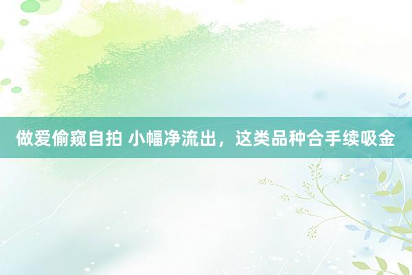 做爱偷窥自拍 小幅净流出,这类品种合手续吸金