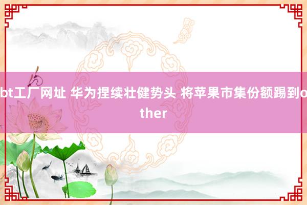 bt工厂网址 华为捏续壮健势头 将苹果市集份额踢到other