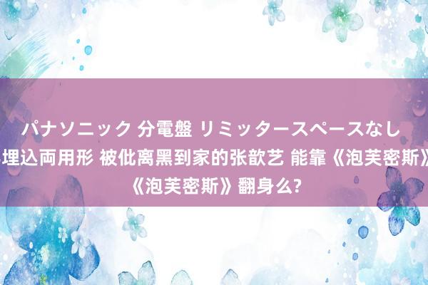 パナソニック 分電盤 リミッタースペースなし 露出・半埋込両用形 被仳离黑到家的张歆艺 能靠《泡芙密斯》翻身么?
