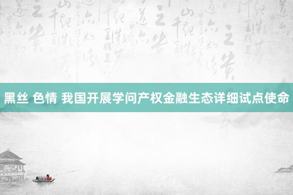 黑丝 色情 我国开展学问产权金融生态详细试点使命