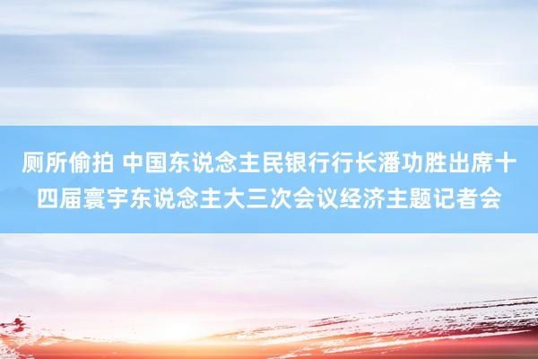 厕所偷拍 中国东说念主民银行行长潘功胜出席十四届寰宇东说念主大三次会议经济主题记者会
