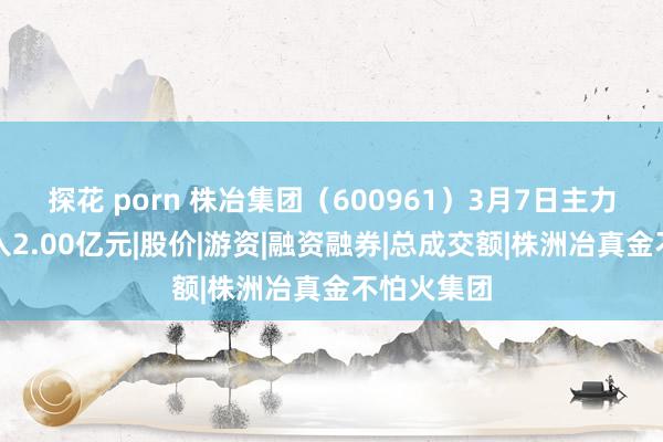探花 porn 株冶集团（600961）3月7日主力资金净买入2.00亿元|股价|游资|融资融券|总成交额|株洲冶真金不怕火集团