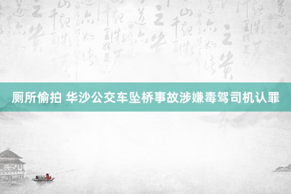 厕所偷拍 华沙公交车坠桥事故涉嫌毒驾司机认罪