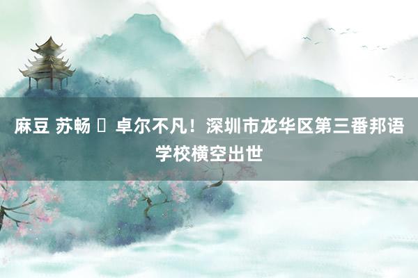 麻豆 苏畅 卓尔不凡!深圳市龙华区第三番邦语学校横空出世
