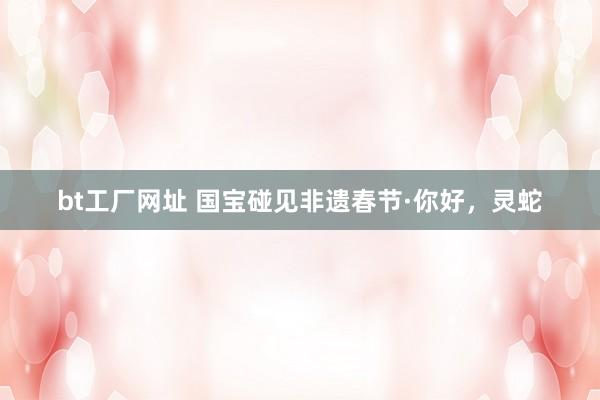 bt工厂网址 国宝碰见非遗春节·你好，灵蛇
