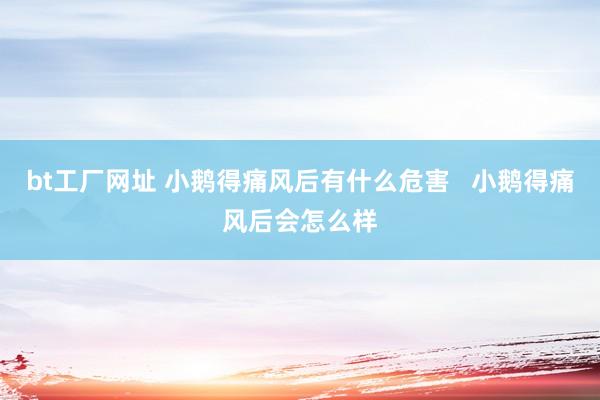 bt工厂网址 小鹅得痛风后有什么危害   小鹅得痛风后会怎么样
