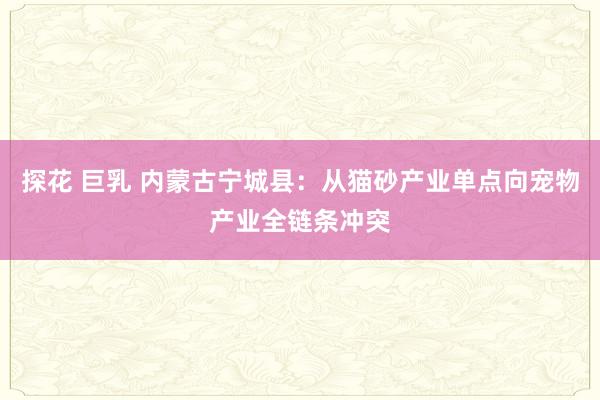 探花 巨乳 内蒙古宁城县：从猫砂产业单点向宠物产业全链条冲突