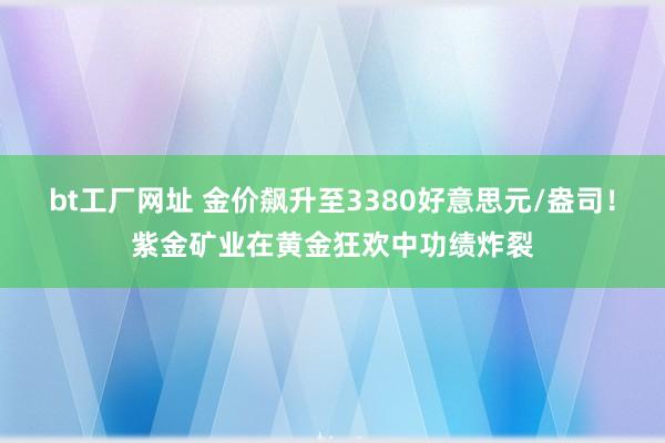 bt工厂网址 金价飙升至3380好意思元/盎司！紫金矿业在黄金狂欢中功绩炸裂