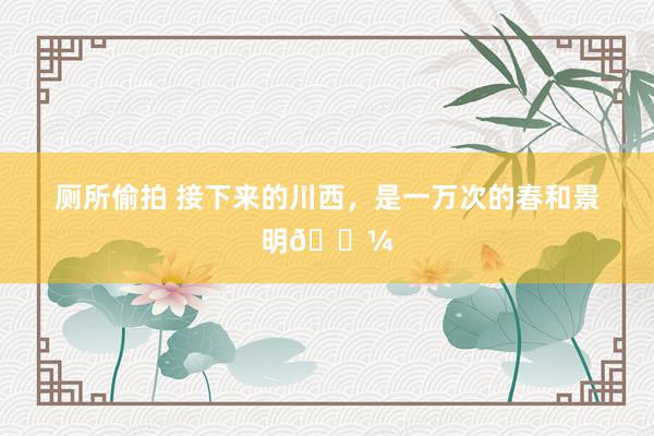厕所偷拍 接下来的川西,是一万次的春和景明🌼