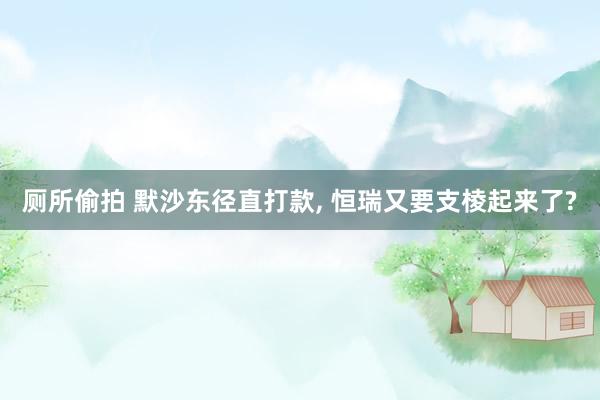 厕所偷拍 默沙东径直打款， 恒瑞又要支棱起来了?