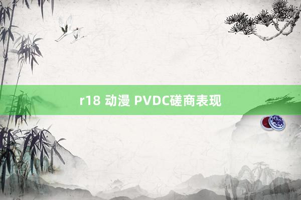 r18 动漫 PVDC磋商表现